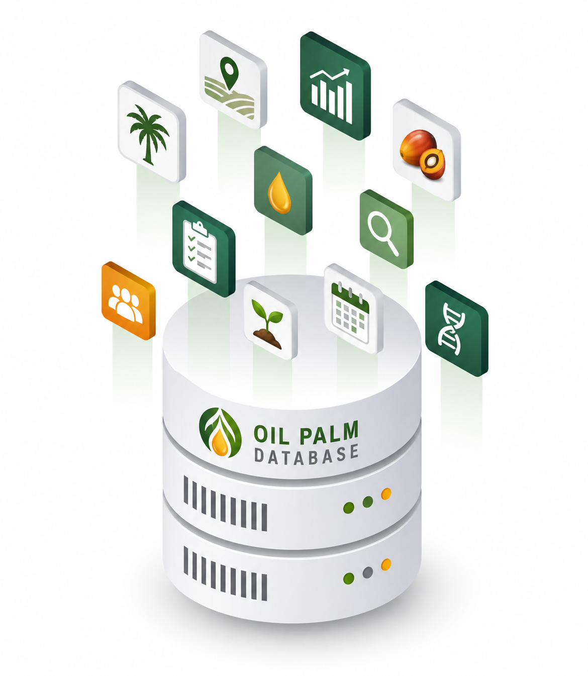 Database Kultur Jaringan Illustration